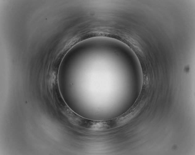 X0000091370382200708101537