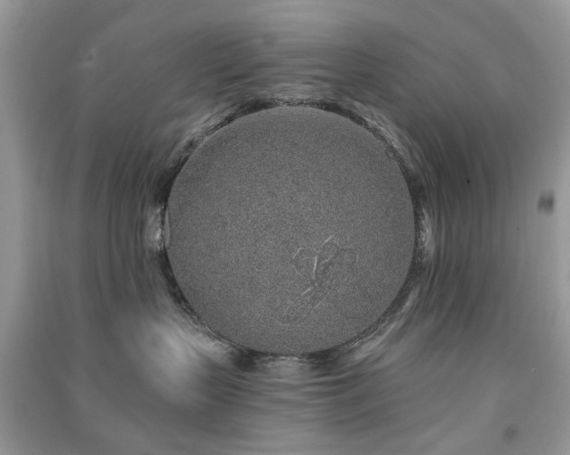 X0000091370383200708101537