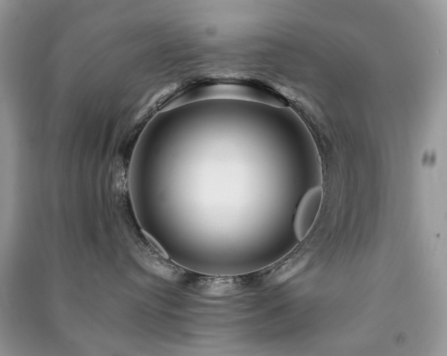 X0000091370384200708101537