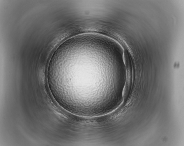 X0000091370386200708101537