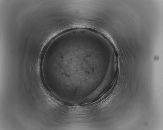 X0000091370387200708101537