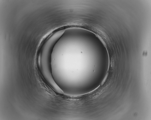 X0000091370388200708101537