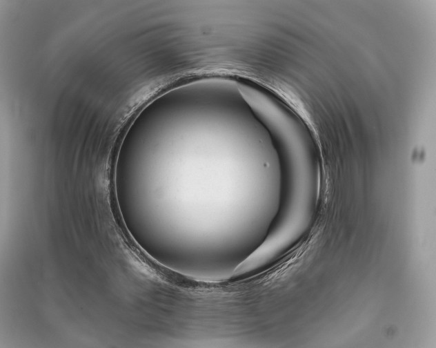 X0000091370389200708101537