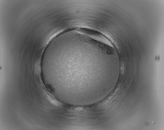 X0000091370390200708101537