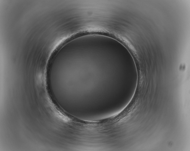 X0000091370391200708101537