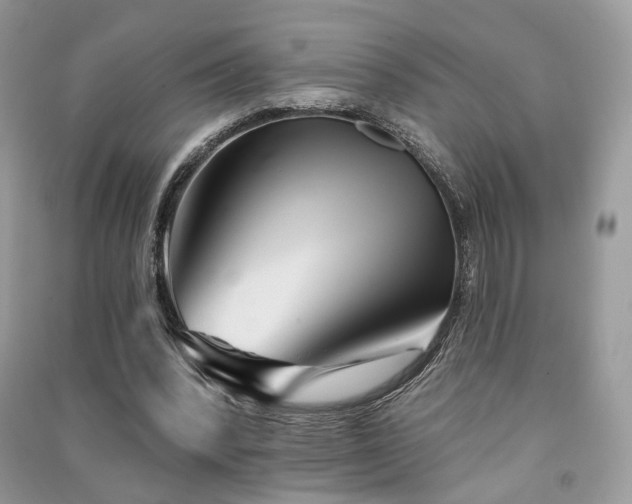 X0000091370392200708101537