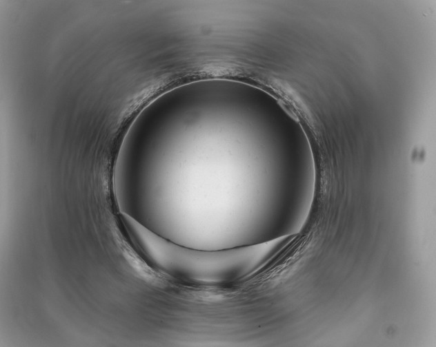 X0000091370393200708101537