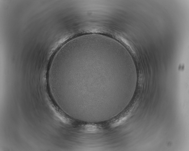 X0000091370394200708101536