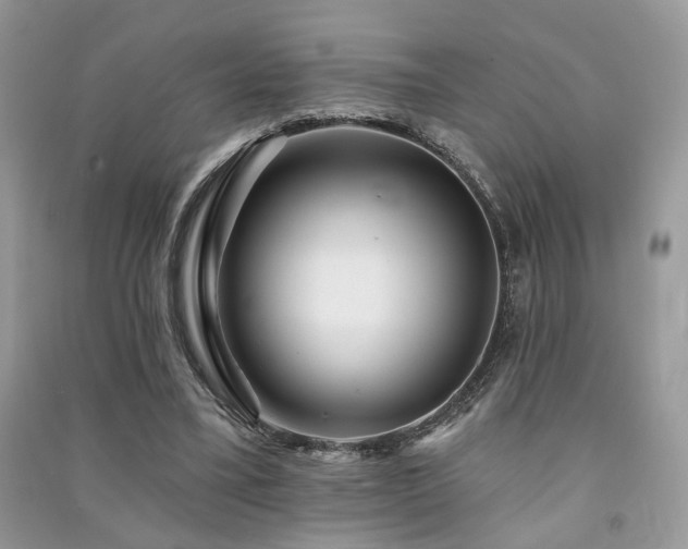 X0000091370395200708101536