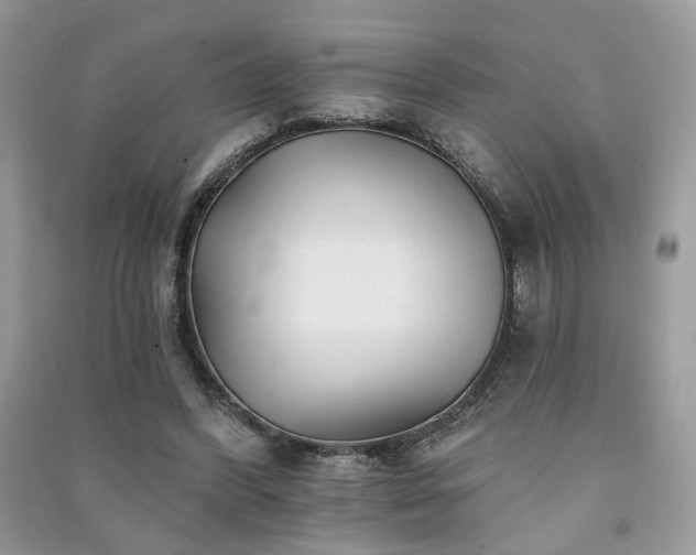 X0000091370396200708101536