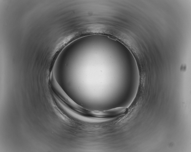 X0000091370397200708101536