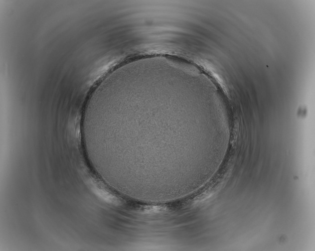 X0000091370398200708101536