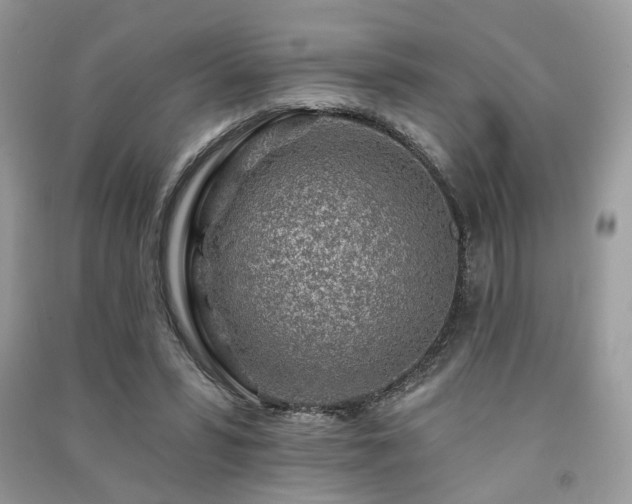 X0000091370399200708101536