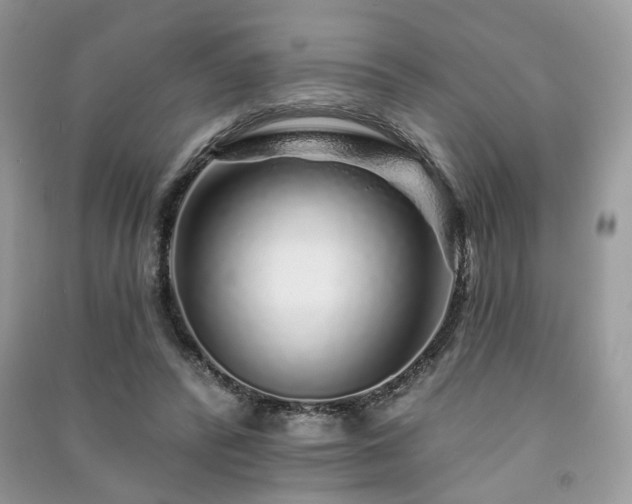 X0000091370400200708101536