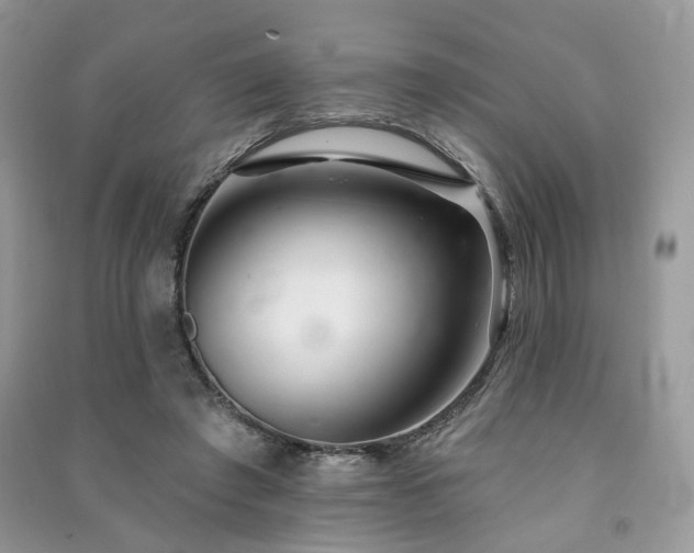 X0000091370401200708101536