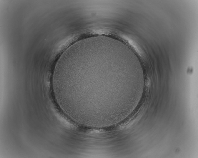 X0000091370402200708101536