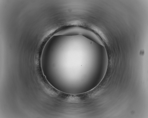 X0000091370403200708101536