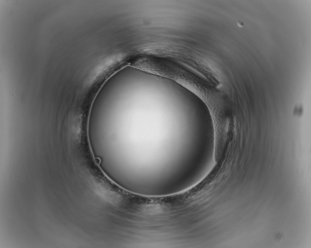 X0000091370404200708101536