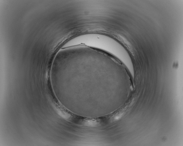 X0000091370405200708101536