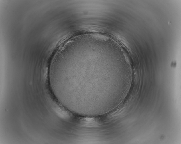 X0000091370406200708101536