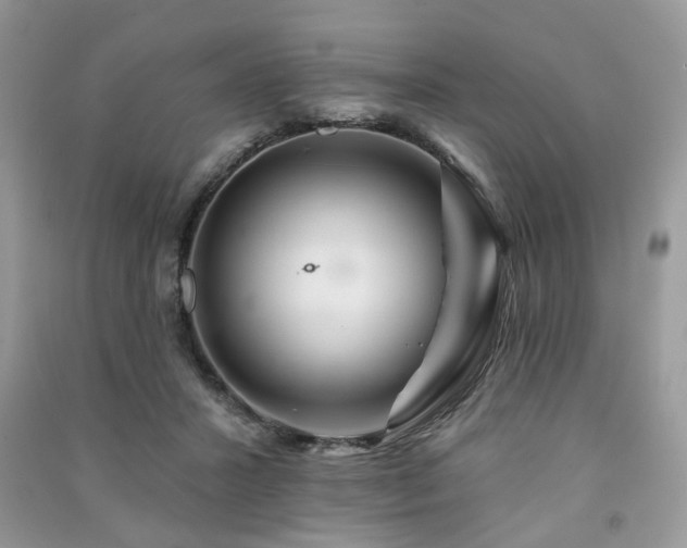 X0000091370407200708101536