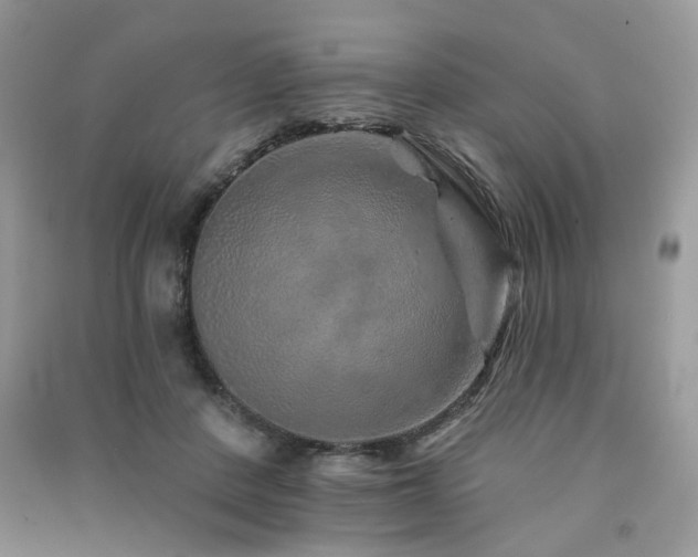 X0000091370408200708101536