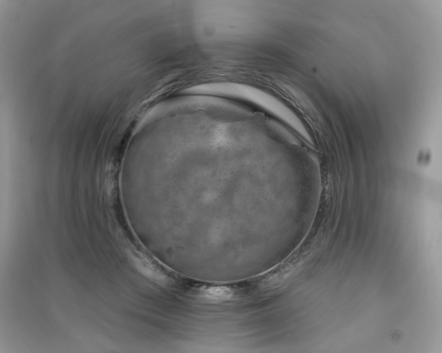 X0000091370409200708101536