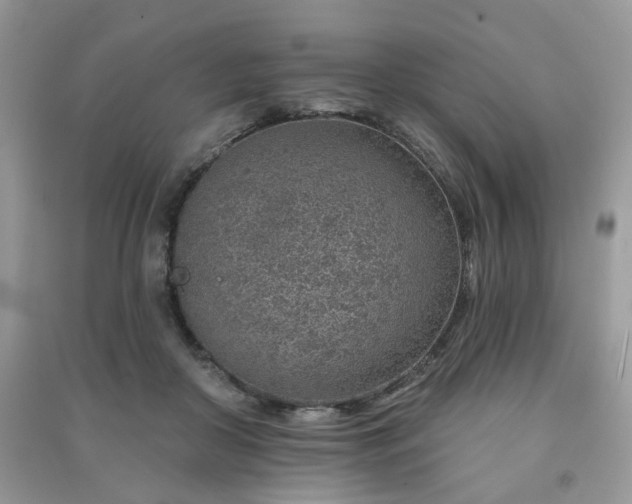 X0000091370410200708101536