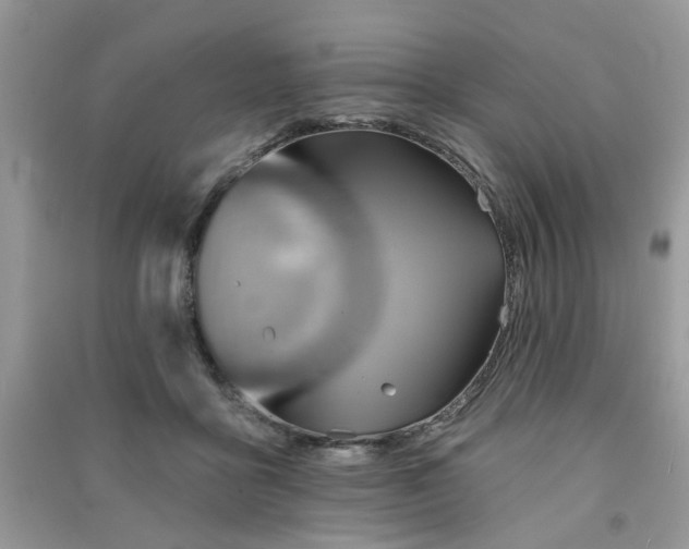 X0000091370411200708101536