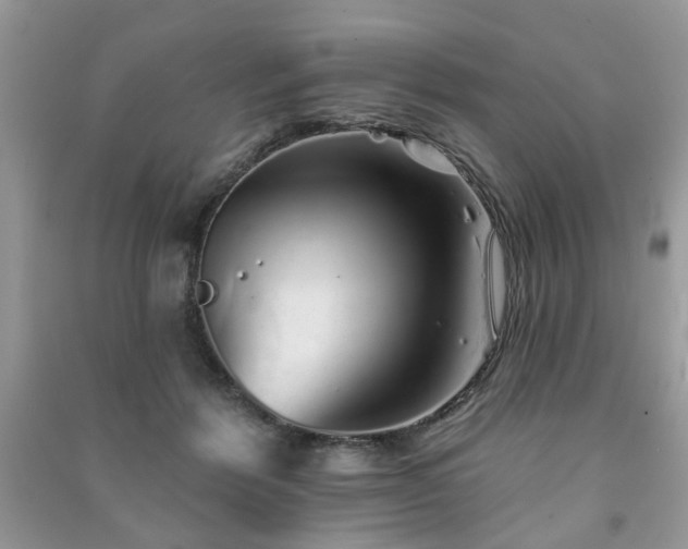 X0000091370412200708101536