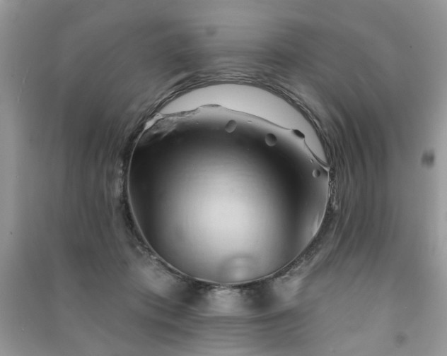 X0000091370413200708101536