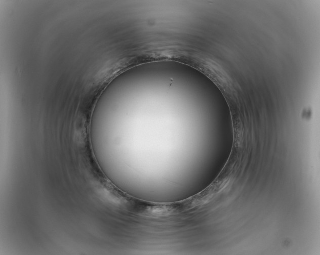 X0000091370414200708101536