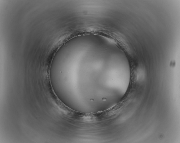 X0000091370415200708101536