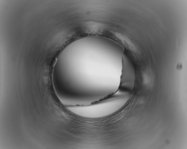 X0000091370416200708101536