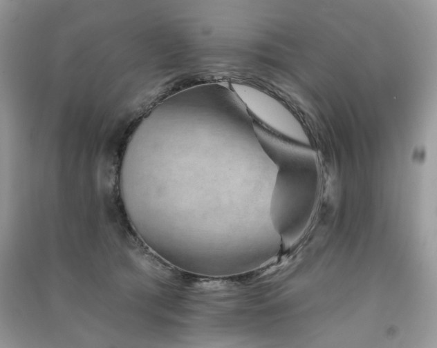 X0000091370417200708101536