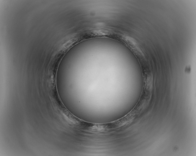 X0000091370418200708101536