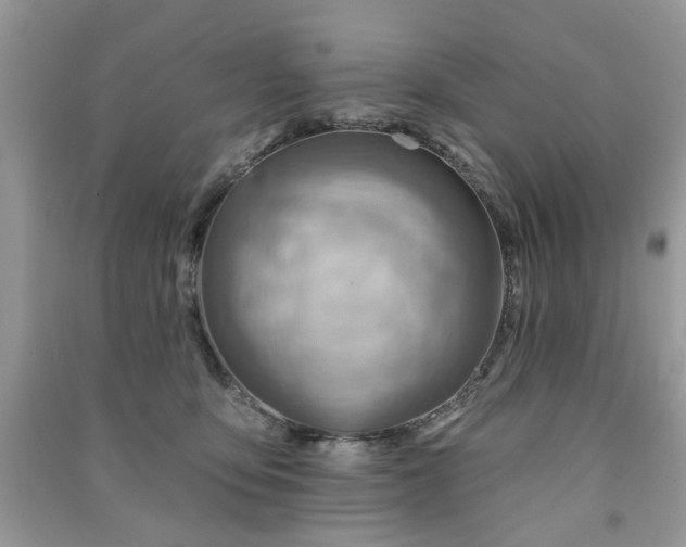 X0000091370419200708101536