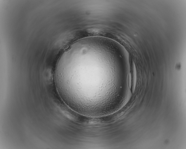 X0000091370420200708101536