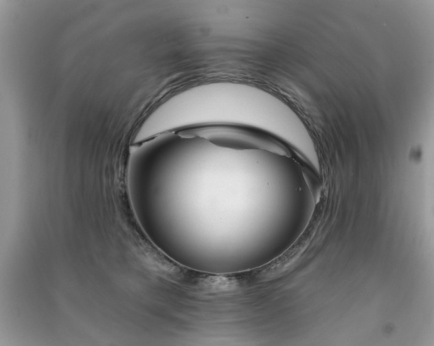 X0000091370421200708101536