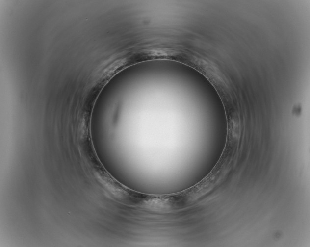 X0000091370422200708101536