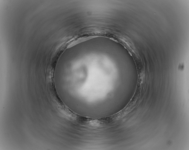 X0000091370423200708101536