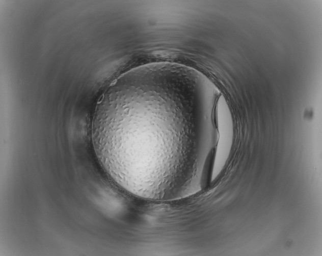 X0000091370424200708101536