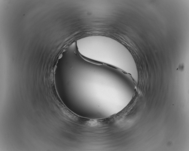 X0000091370425200708101536