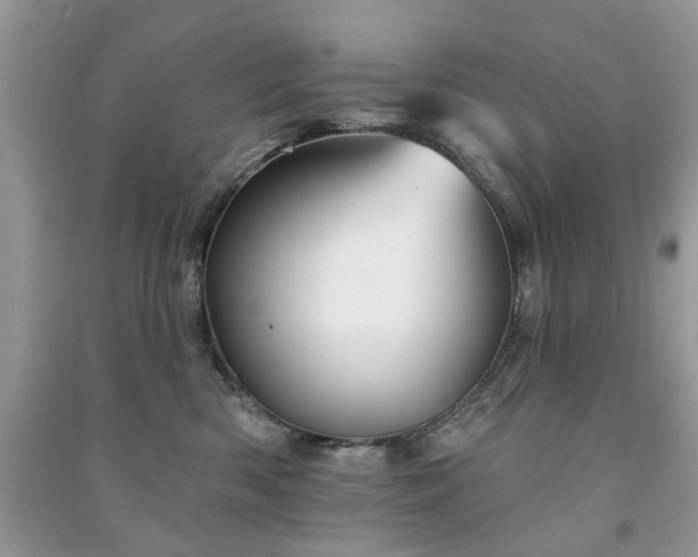 X0000091370426200708101536