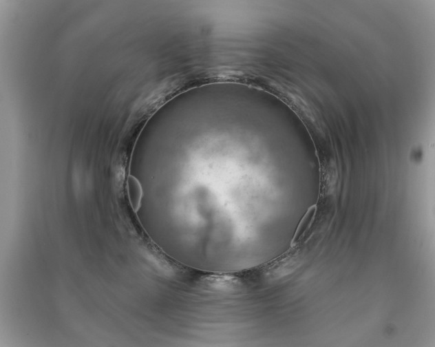 X0000091370427200708101536