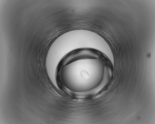 X0000091370428200708101536