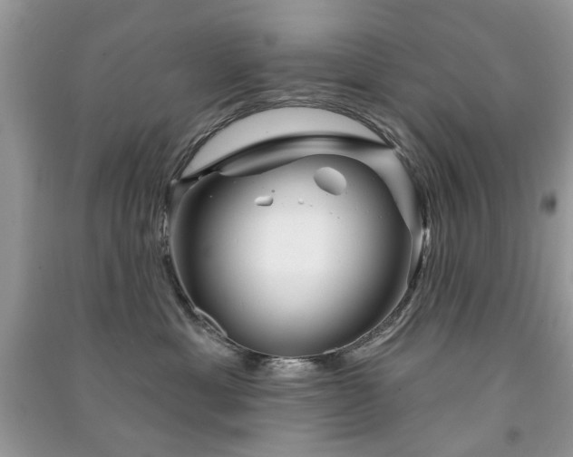 X0000091370429200708101536