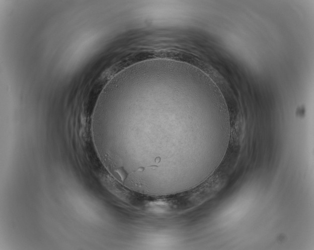 X0000091370430200708101536