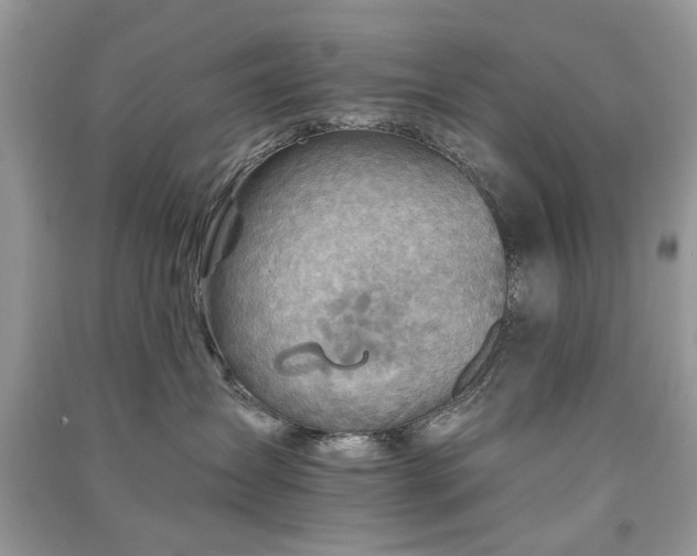 X0000091370431200708101536