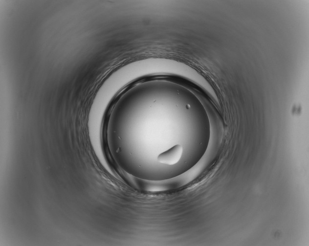 X0000091370432200708101536